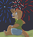 4th of July by MochiOtter