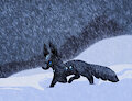 [ArtFight Defense!] In the Blizzard!