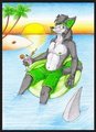 Summer break