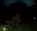 Chasing Fireflies