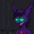 Weekly Webcam #10: Damn, Chalky