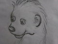 Cub Sketch of Moyomongoose