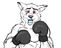 Balto boxing series by Jarfox