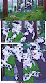 Hidden Falls Page 1
