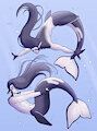 Glacial poses