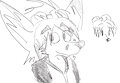 Max Design Practice