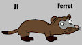 F is for Ferret #3 (My Version) - Ferret (The Simpsons)