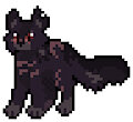 [ANIMATED] crowstar