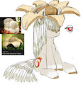 EarthStar filly concept art by ButtercupSaiyan