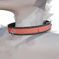 Collar Accessory - Conrade Comm