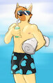 Darkwitt In the Summer (Frecklethefox) by Darkwitt