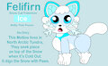 Felifirn