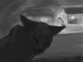 Say Goodbye by LostWolfSpirit