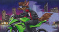 Live to Ride