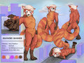 Kwandry Baasher Reference Sheet (clean)
