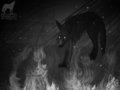 What Remains... by LostWolfSpirit