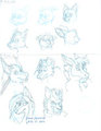 Furries From Refs