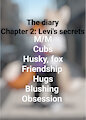 The diary: Levi's secrets by JohnnyByFar