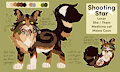 Shooting star - Warrior cats OC Original character Reference by claragonza3