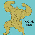 Y.C.H. PACK