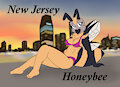 50 States: New Jersey