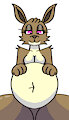 Round Belly