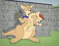 Saturday Supercade - Kangaroo - Joey in Trouble. by CheetorPrime