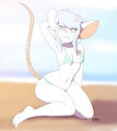 At the beach with Rose by QuiteSplendid