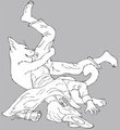 Commish--A Good Wash