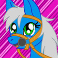 Commish--Tornado Hugger Avatar Big Bit 2/4