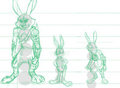 Bunnies Lineup