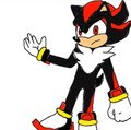 shadow the hedgehog