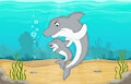 Little Disobedient Dolphin Pup by CheetorPrime