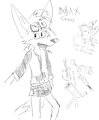 Max Reference Sheet