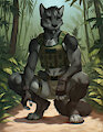 Mission Ready by LEVSHA