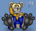 Victors Koala Toes by TheRedSkunk