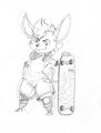 Skater Rat