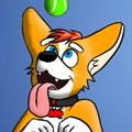 Rocket Ref Sheet by CorgiRockets