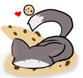 COOKIES!! 