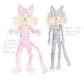 Firepaw & Ninja