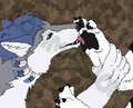 [Commission] Paw Licks by DarkwolfUntamed
