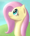 Fluttershy Bust