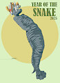 Year of the snake by Jerrert