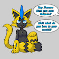 Zeraora & Raticate [1/4]