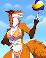 Do you want to play beach volleyball? by WereFox