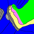 Footsie by Fur915
