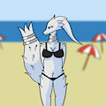 Reshiram at the beach