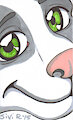 Boxice eyes by Boxice
