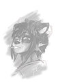 Portrait of a Raccoon by Lysergia