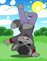 Cartwheel! by KotaPup